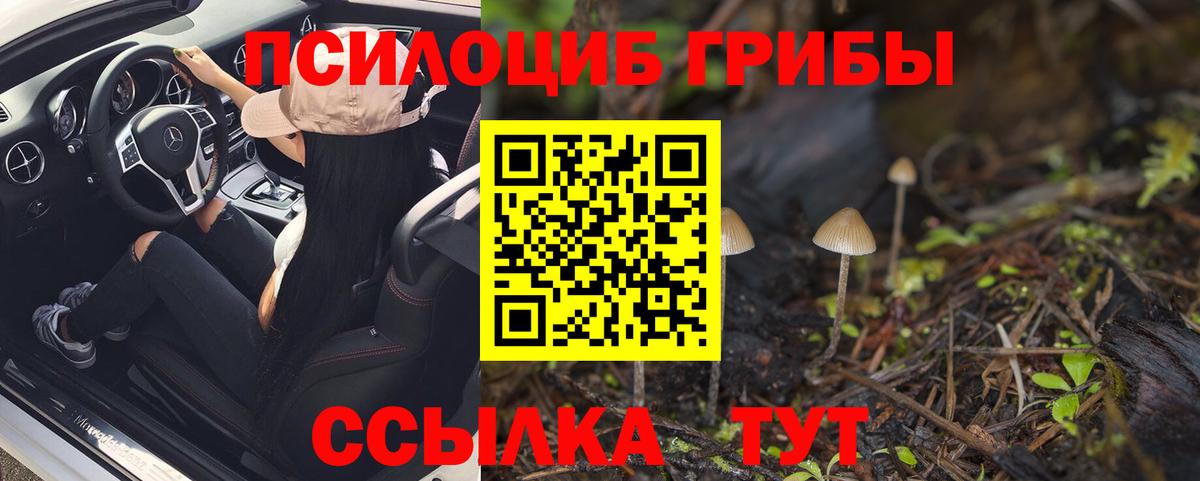 Каспийск  Галлюциногенные грибы прущие грибы  Псилоцибиновые грибы ЛСД  Вход с VPN 