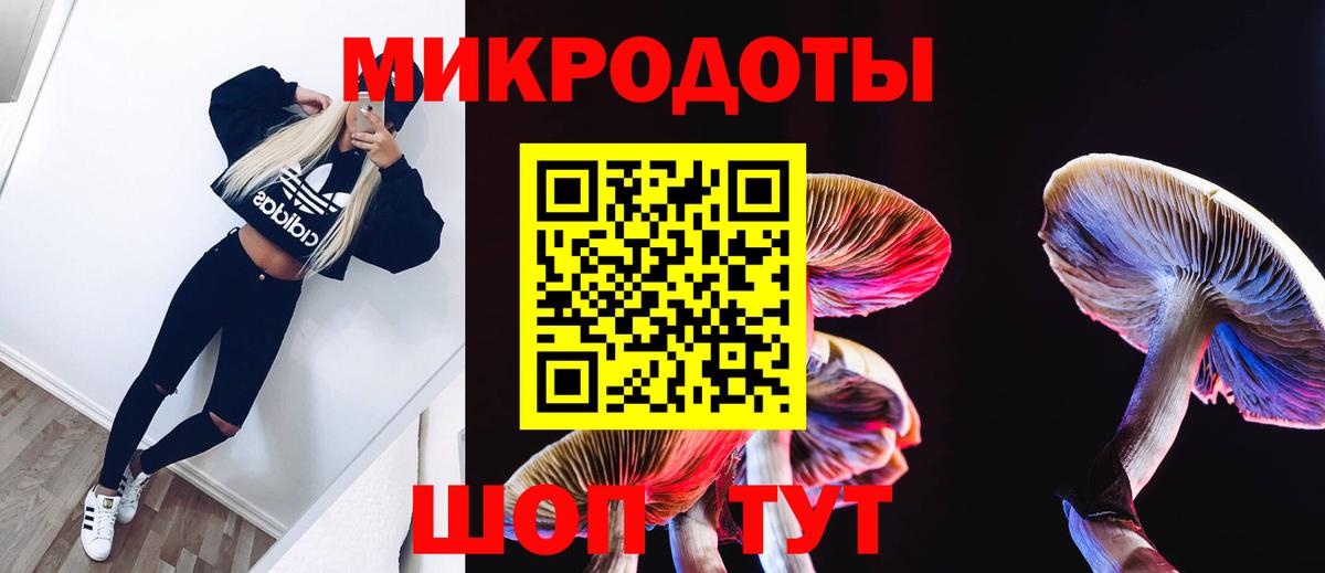 Галлюциногенные грибы Magic Shrooms Каспийск